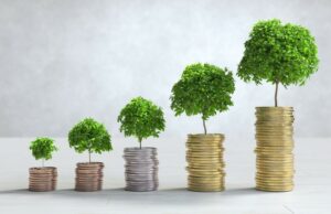 FNB encourages stokvels to diversify their investment portfolios