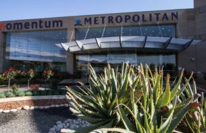 Momentum reports another year of solid earnings growth