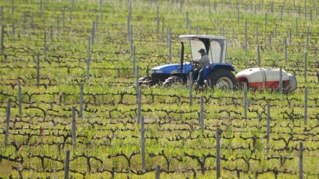 AGRICULTURAL JOBS IN SOUTH AFRICA ROSE IN THE THIRD QUARTER OF 2023