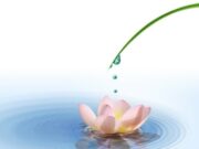AVBOB promotes its sustainable Aquamation funeral service