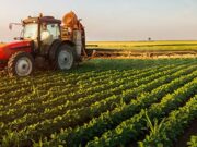 KZN agricultural growth initiative for farmers