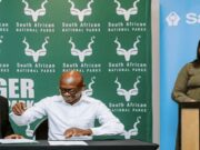 Sanlam and Sanparks expand SMME support to Garden Route and Addo Parks
